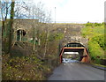 Metal frame supports Grade II listed Newtown Bridge, Ebbw Vale