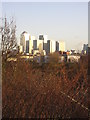 Looking towards Canary Wharf from South Bermondsey