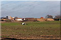 West of Waterlooville housing development site