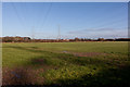 Field and Pylons west of Cutlers Farm