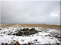 NY6909 : Small shelter, Little Asby Scar by Karl and Ali
