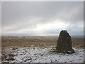 NY6908 : Summit cairn, Little Asby Scar by Karl and Ali