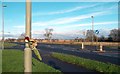 Rose on a Lamp Post, Preston Crowmarsh