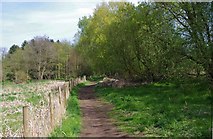 SO8480 : Public footpath to Caunsall by P L Chadwick