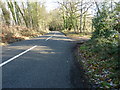 Mare Hill, the road, descending to Witley