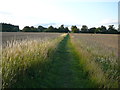 Field path on the outskirts of Haughley heading towards Mere Farm