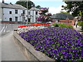 Colourful flower border at the junction of Potter Street and Watson Road, Worksop