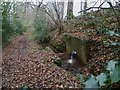 Outflow from pumping station on path west of Slade Lane