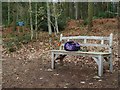 Handy, decorated picnic seat on the Fyning Estate