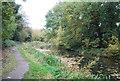 Basingstoke Canal