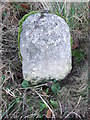 Old Milestone