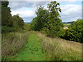 The path leading down to Arlescote