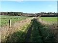 Bridleway east towards The Tolt