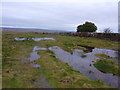 Denhall Quay and the Dee Marsh