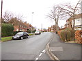 Silk Mill Drive - viewed from Bedford Garth