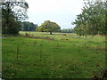 Field on the east side of Ty Mawr Farm, Llanfrynach