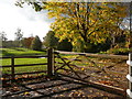 SJ5671 : Autumn colours on Gallowsclough Lane, Norley by Colin Park