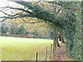 Path near Hoe Farm