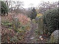 Footpath from the western end of Long Walk