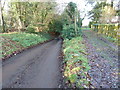 Footpath 189 branching off Church Lane Hambledon