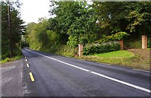 R5681 : R352 road near Ballynahinch, Co. Clare by P L Chadwick