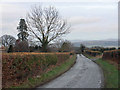 Lane to Lodge Farm