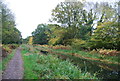 Basingstoke Canal