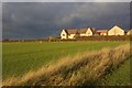 Field by Bell Road, Bottisham