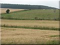 Farmland outside Cuminestown