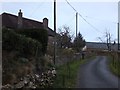 Road and housing in Weston