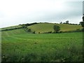 Drumlin west of the Killough Road