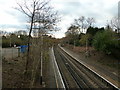 Platforms at Witley Station