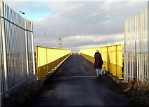 SE4624 : Holmfield Lane footbridge by derek dye