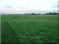 Farm buildings at Winkford Farm