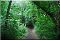 Footpath to Shotter Mill