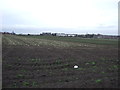 Farmland off Sharp Lane