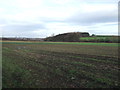 Farmland, Brook Farm