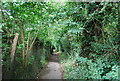 Footpath by the railway