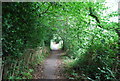 Footpath, Springhead