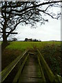 Footbridge over the River Rother