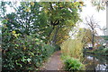 Towpath, Basingstoke Canal