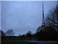 TQ3471 : Crystal Palace Park, winter afternoon by Christopher Hilton