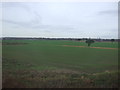 Farmland near Sandy Lane Farm