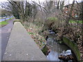 SP0380 : Griffin's Brook, Bristol Road South with Shopping Trolley by Roy Hughes