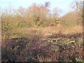 Remains of Honeybourne South Junction