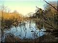 Lake in Fountain Dale