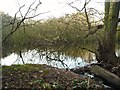 Rainworth Water leaving Cave Pond