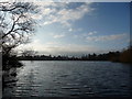 Part of Ellesmere from across The Mere in December