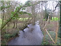 Wainsford Bridge, Avon Water