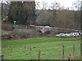 Ellerhayes Bridge over River Culm